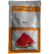 Watermelon MaxX
